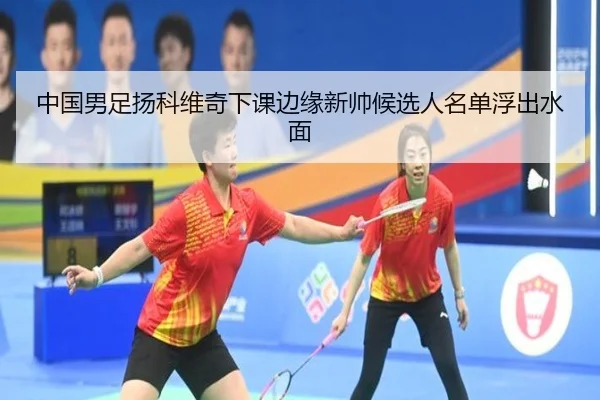 中国男足扬科维奇下课边缘新帅候选人名单浮出水面